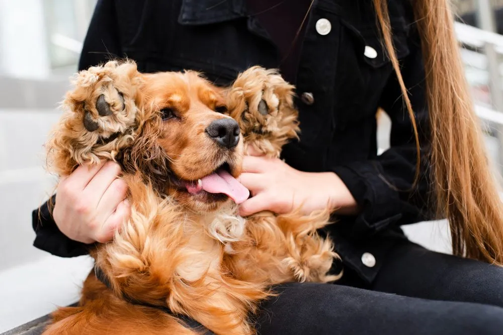 Dermatology at Wild Magnolia Mobile Vet